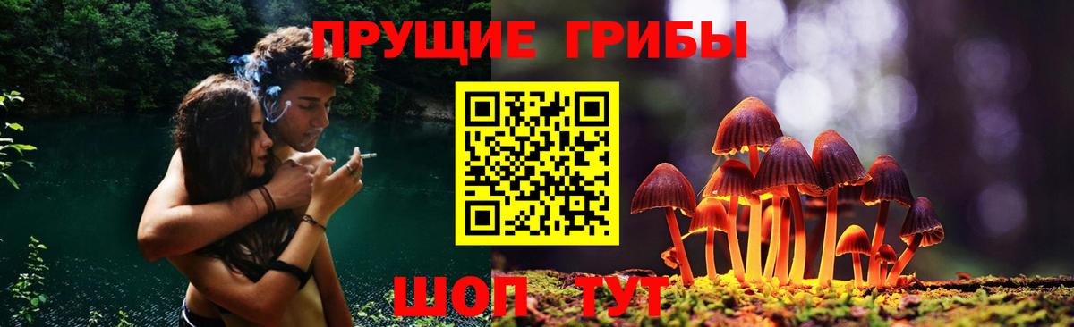 Галлюциногенные грибы MAGIC MUSHROOMS  Вход с VPN  Галлюциногенные грибы Psilocybe  Алушта 